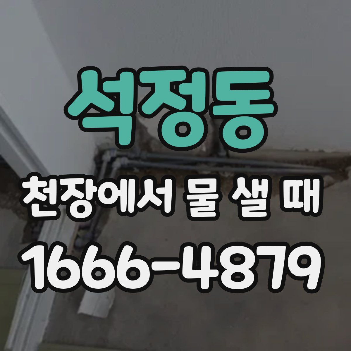 석정동 천장에서 물 샐 때