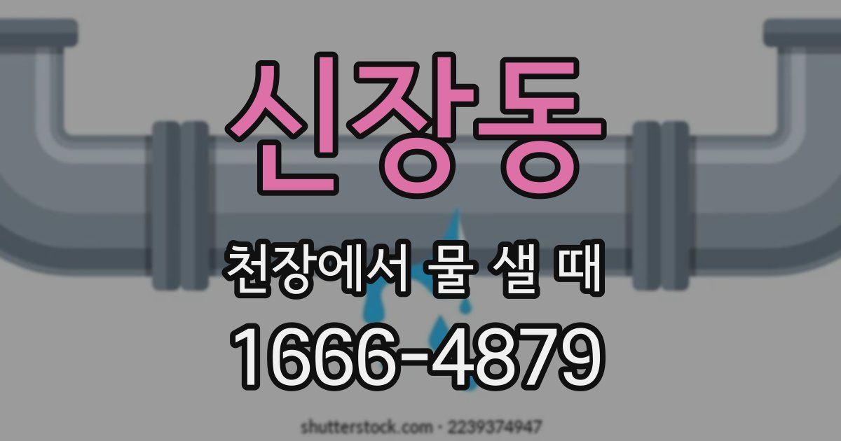 신장동 천장에서 물 샐 때