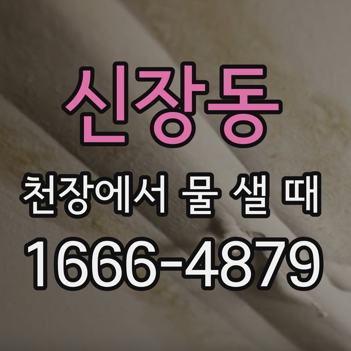 신장동 천장에서 물 샐 때