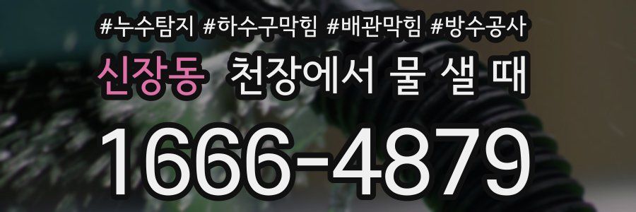 신장동 천장에서 물 샐 때