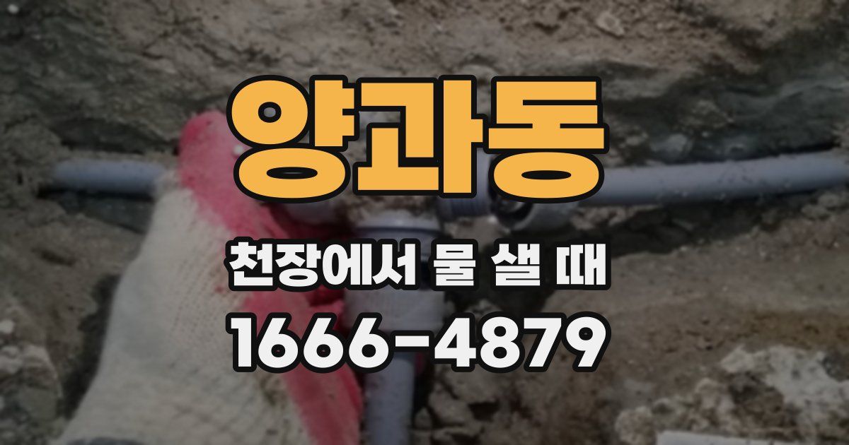 양과동 천장에서 물 샐 때