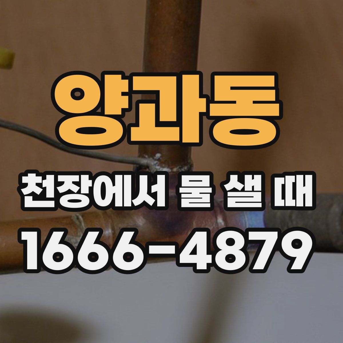 양과동 천장에서 물 샐 때