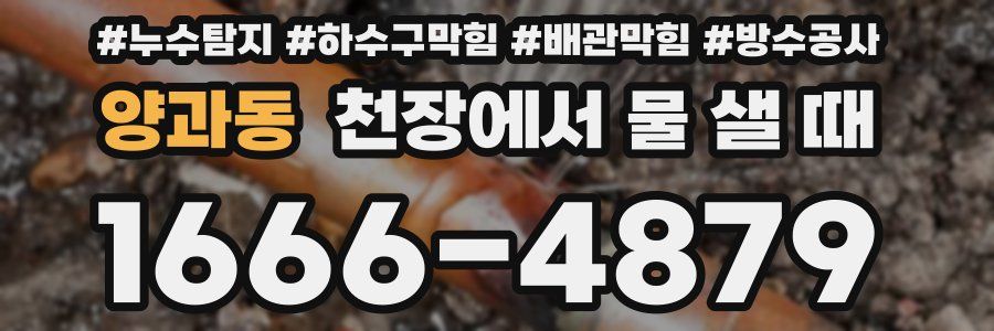 양과동 천장에서 물 샐 때