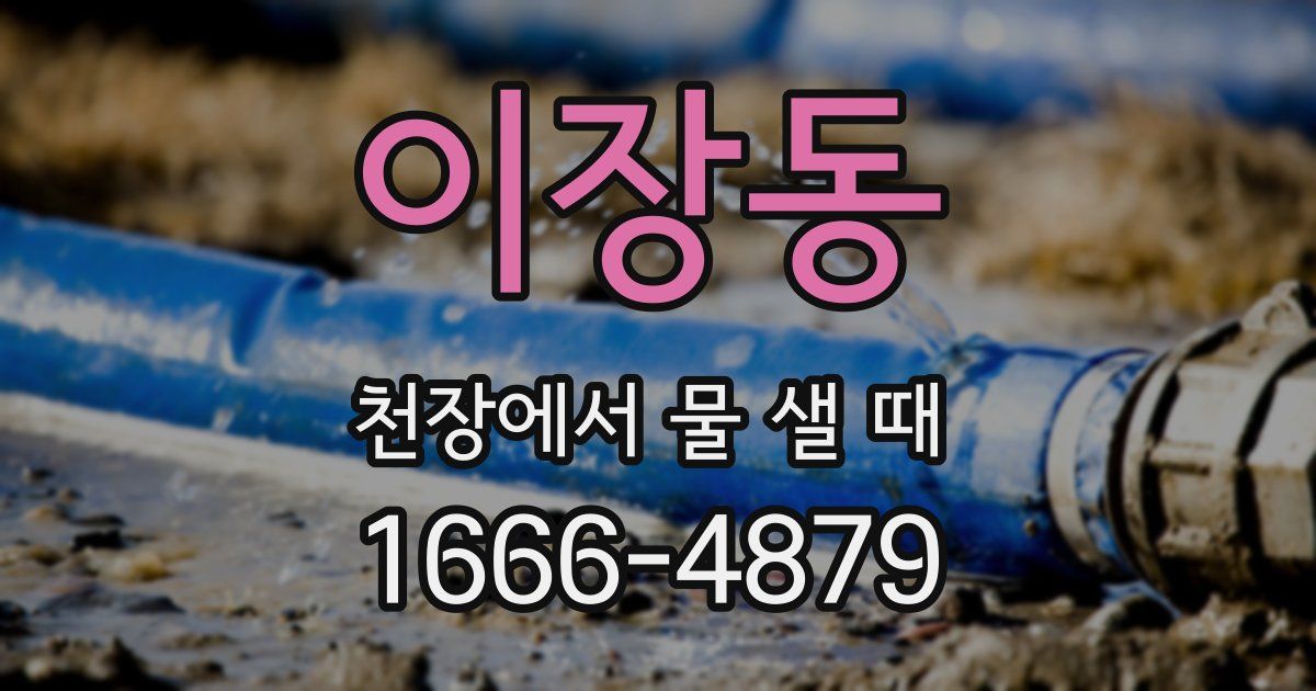 이장동 천장에서 물 샐 때