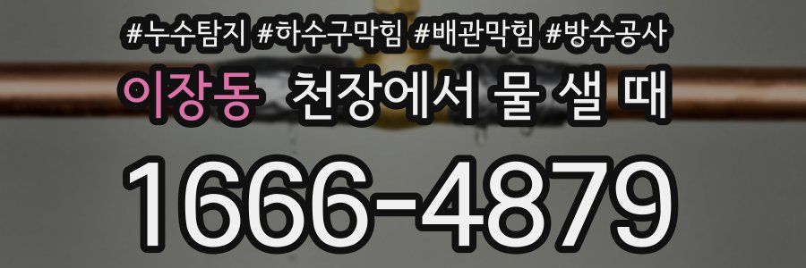 이장동 천장에서 물 샐 때
