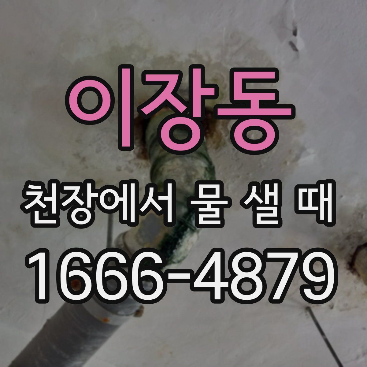 이장동 천장에서 물 샐 때
