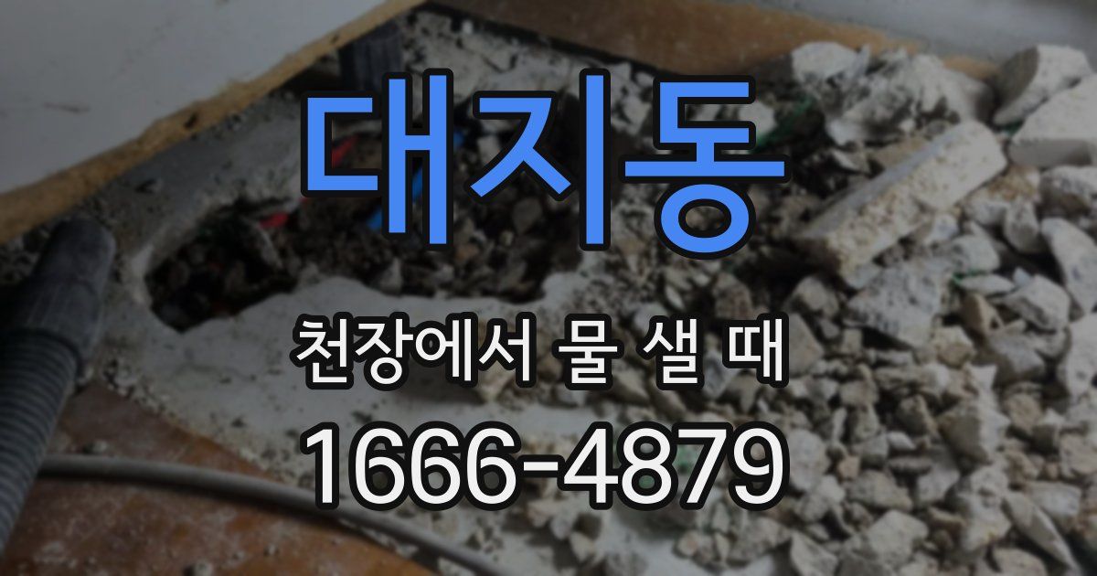 대지동 천장에서 물 샐 때