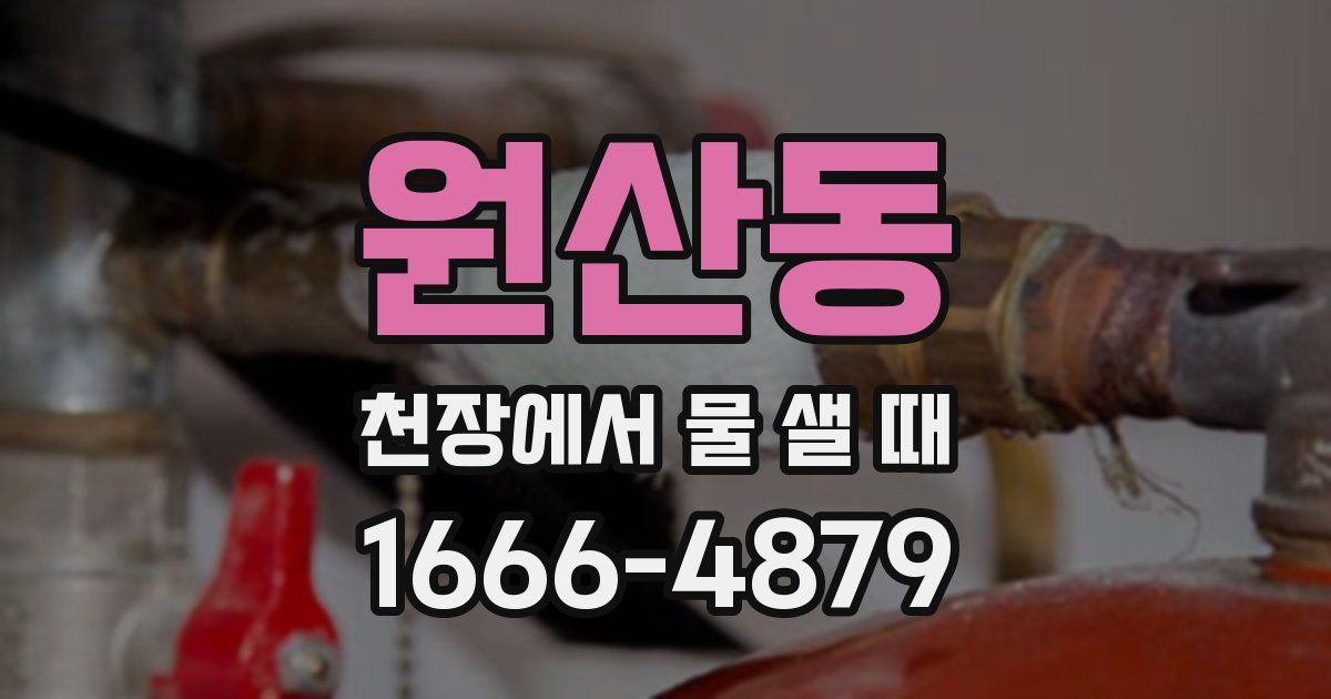 원산동 천장에서 물 샐 때