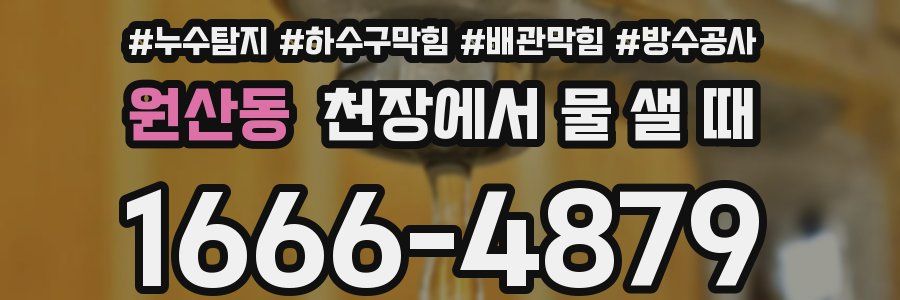 원산동 천장에서 물 샐 때