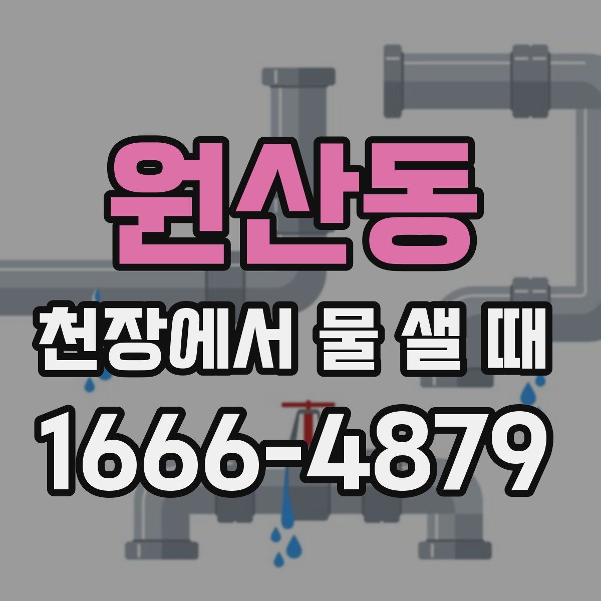 원산동 천장에서 물 샐 때