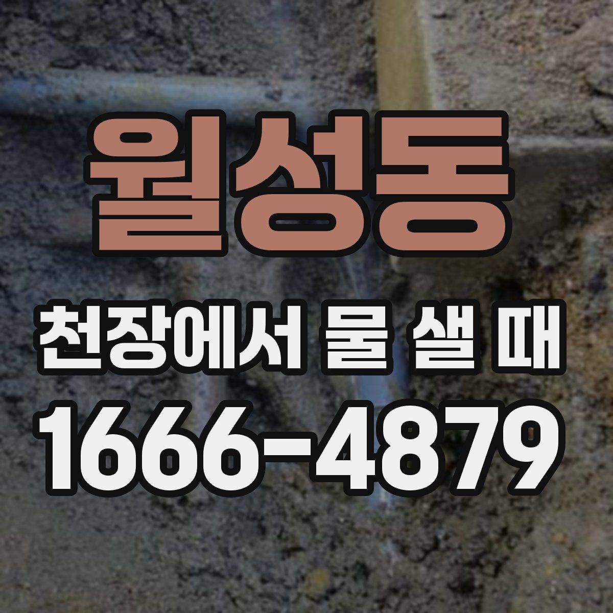 월성동 천장에서 물 샐 때