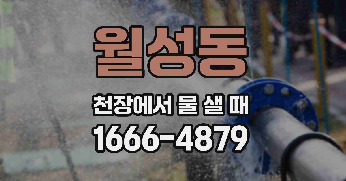 월성동 천장에서 물 샐 때