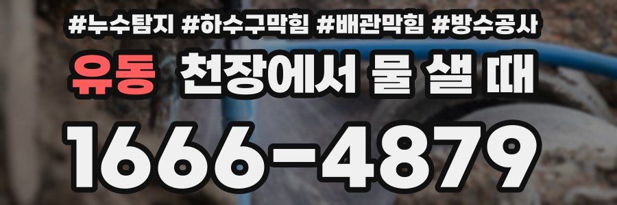 유동 천장에서 물 샐 때