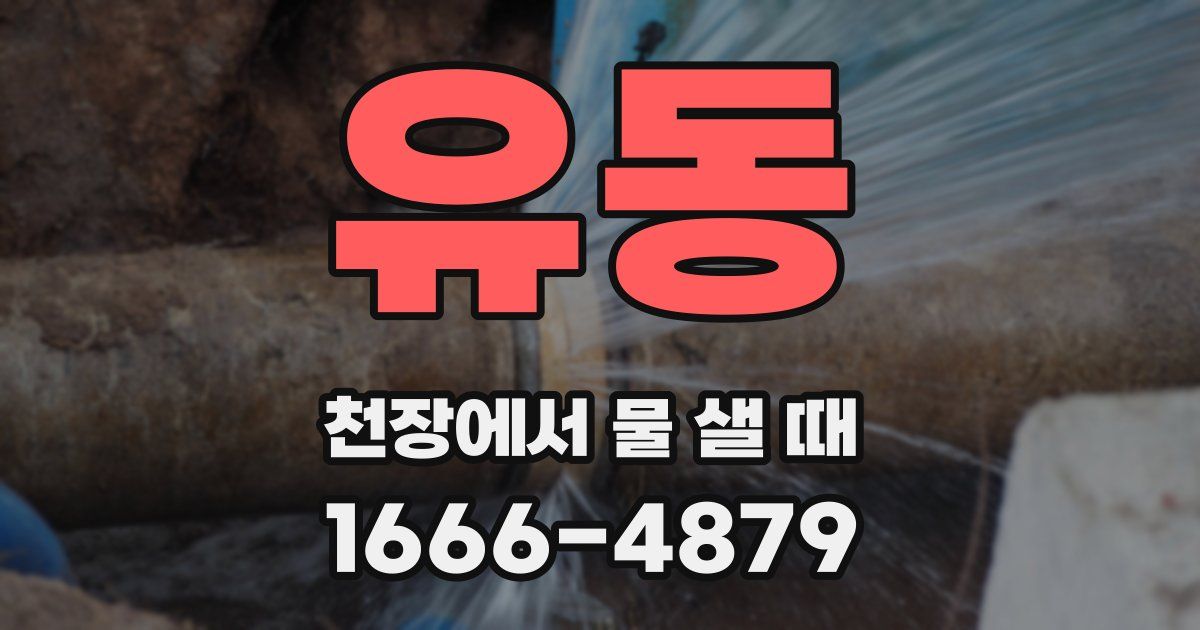 유동 천장에서 물 샐 때