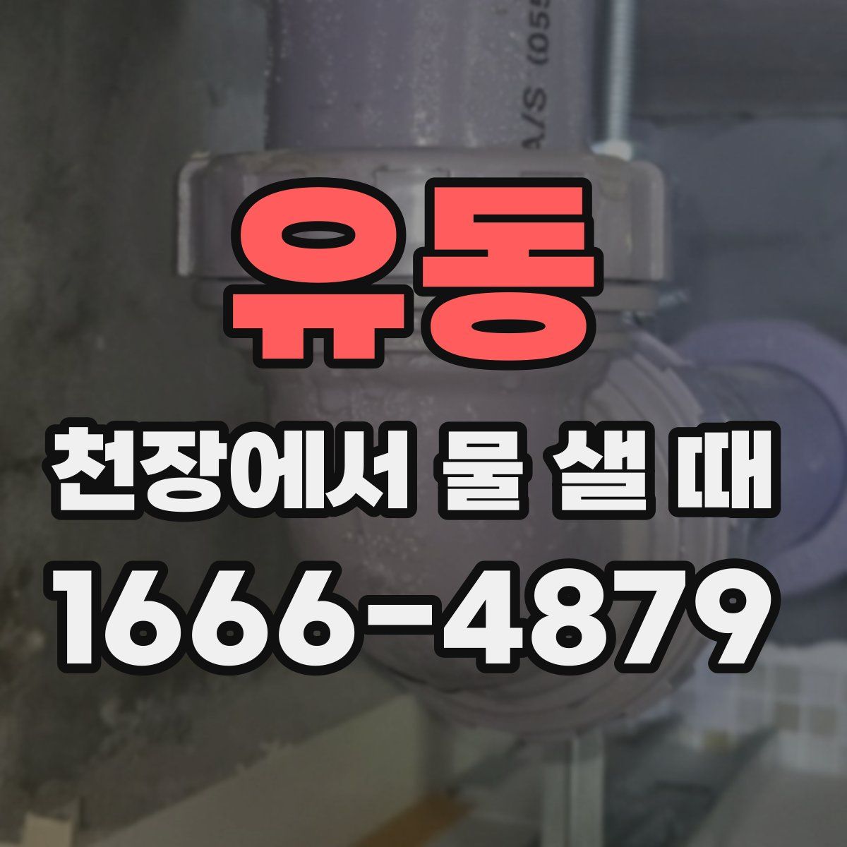 유동 천장에서 물 샐 때