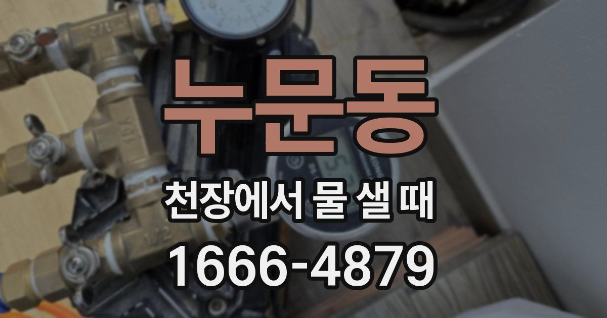 누문동 천장에서 물 샐 때