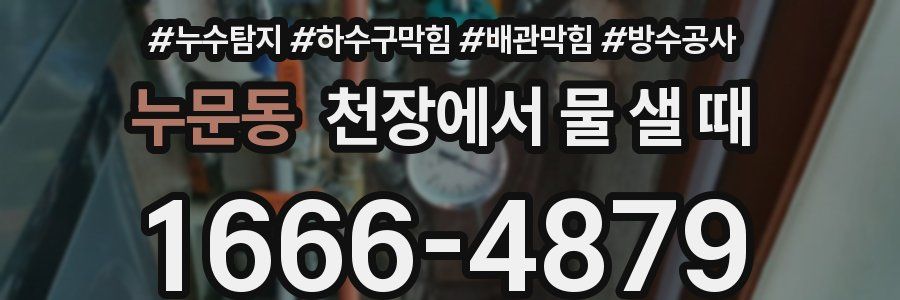 누문동 천장에서 물 샐 때