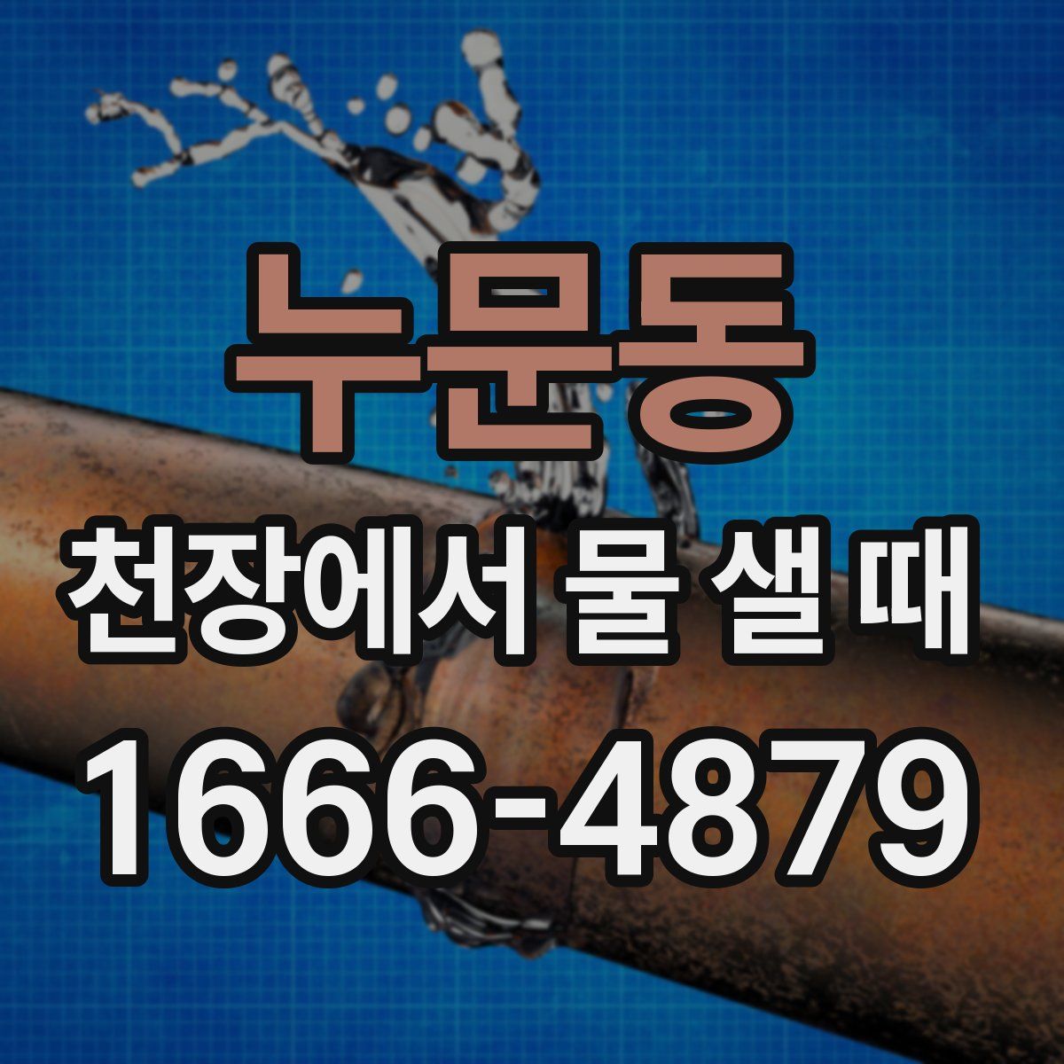 누문동 천장에서 물 샐 때
