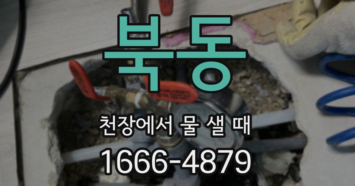 북동 천장에서 물 샐 때