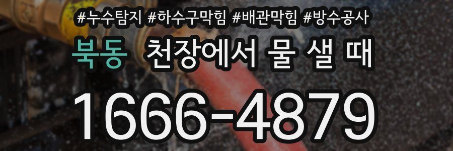 북동 천장에서 물 샐 때