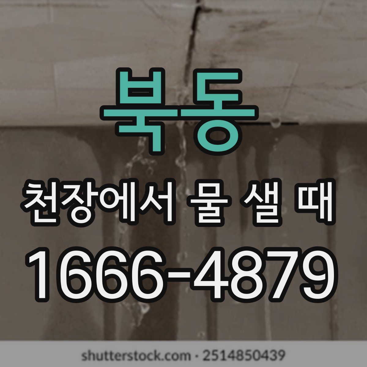 북동 천장에서 물 샐 때