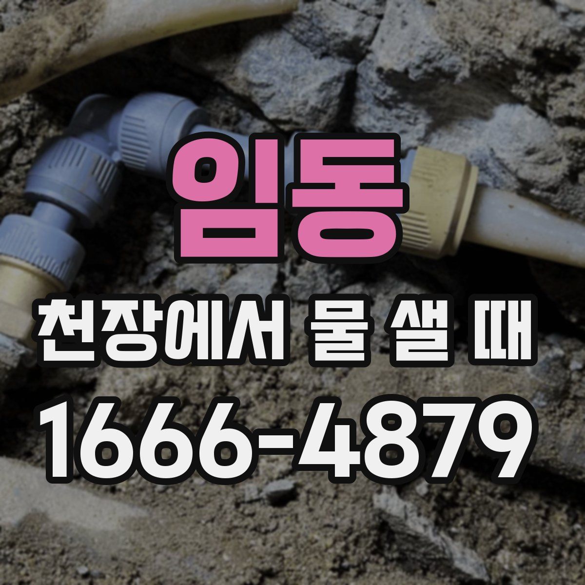 임동 천장에서 물 샐 때