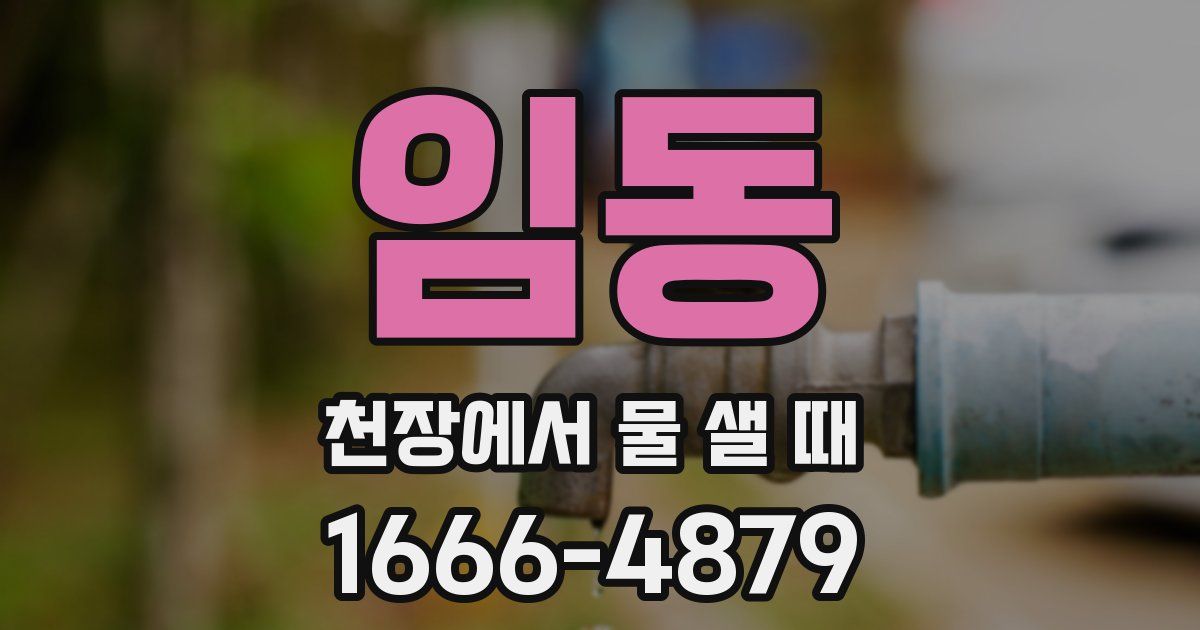 임동 천장에서 물 샐 때