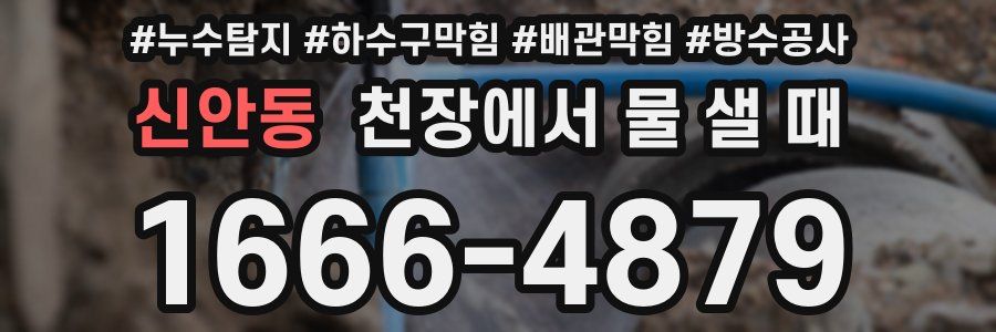 신안동 천장에서 물 샐 때