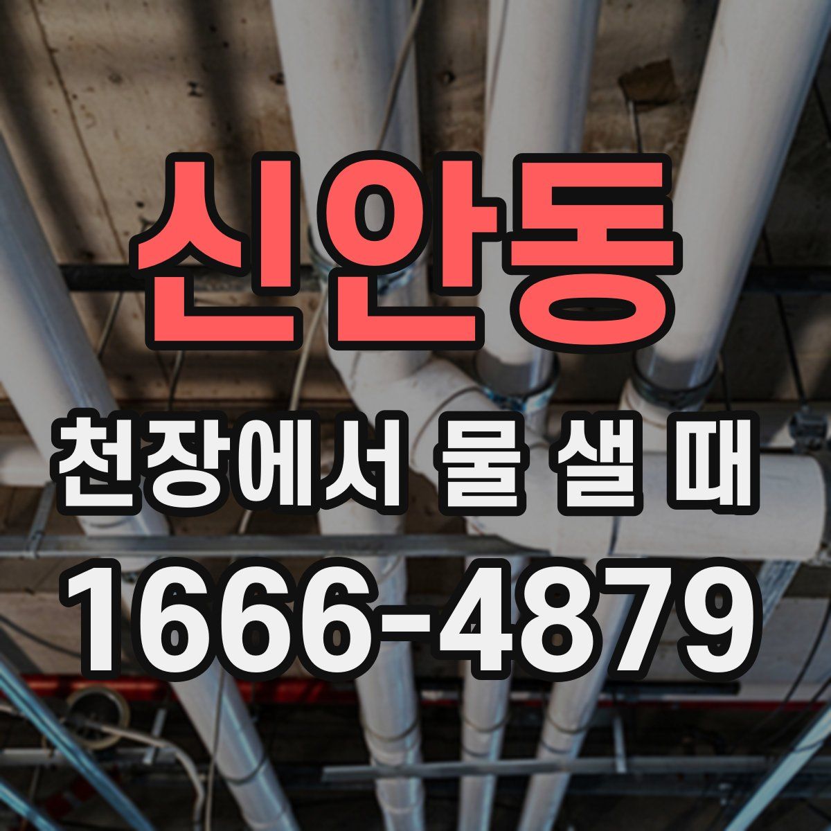 신안동 천장에서 물 샐 때