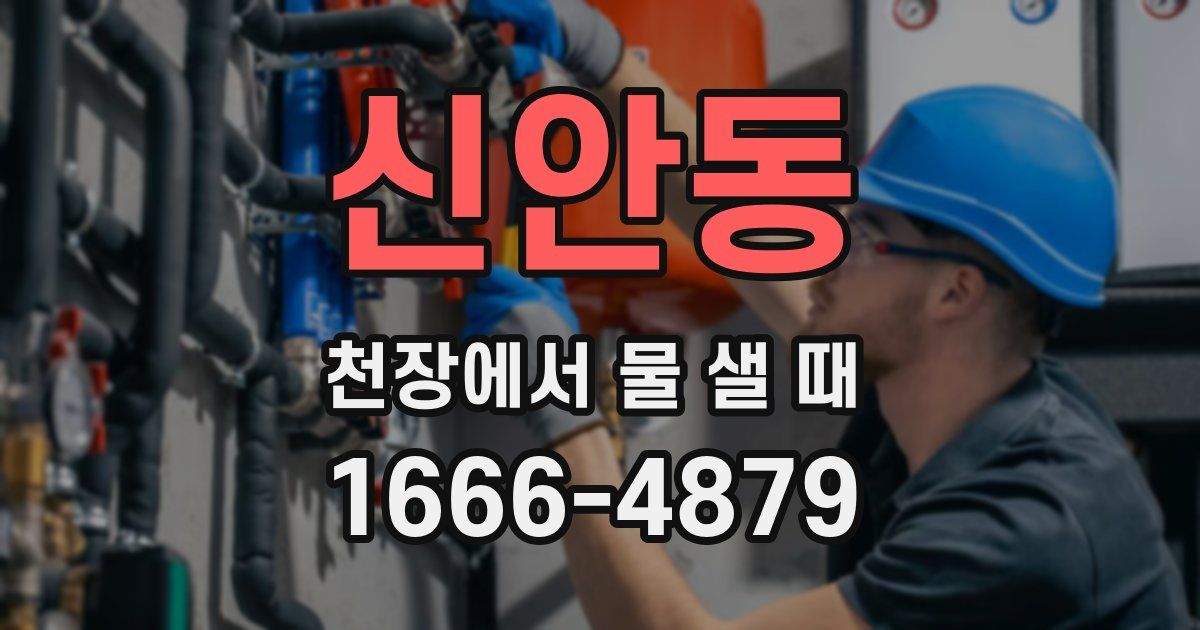 신안동 천장에서 물 샐 때