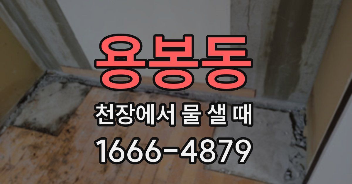 용봉동 천장에서 물 샐 때