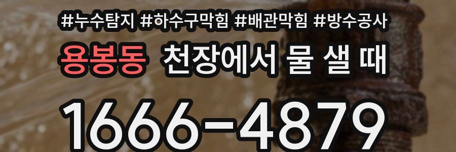 용봉동 천장에서 물 샐 때