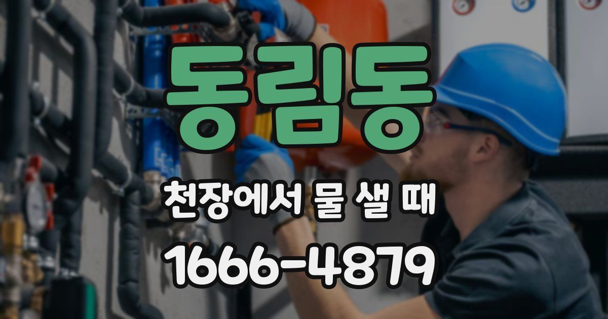 동림동 천장에서 물 샐 때