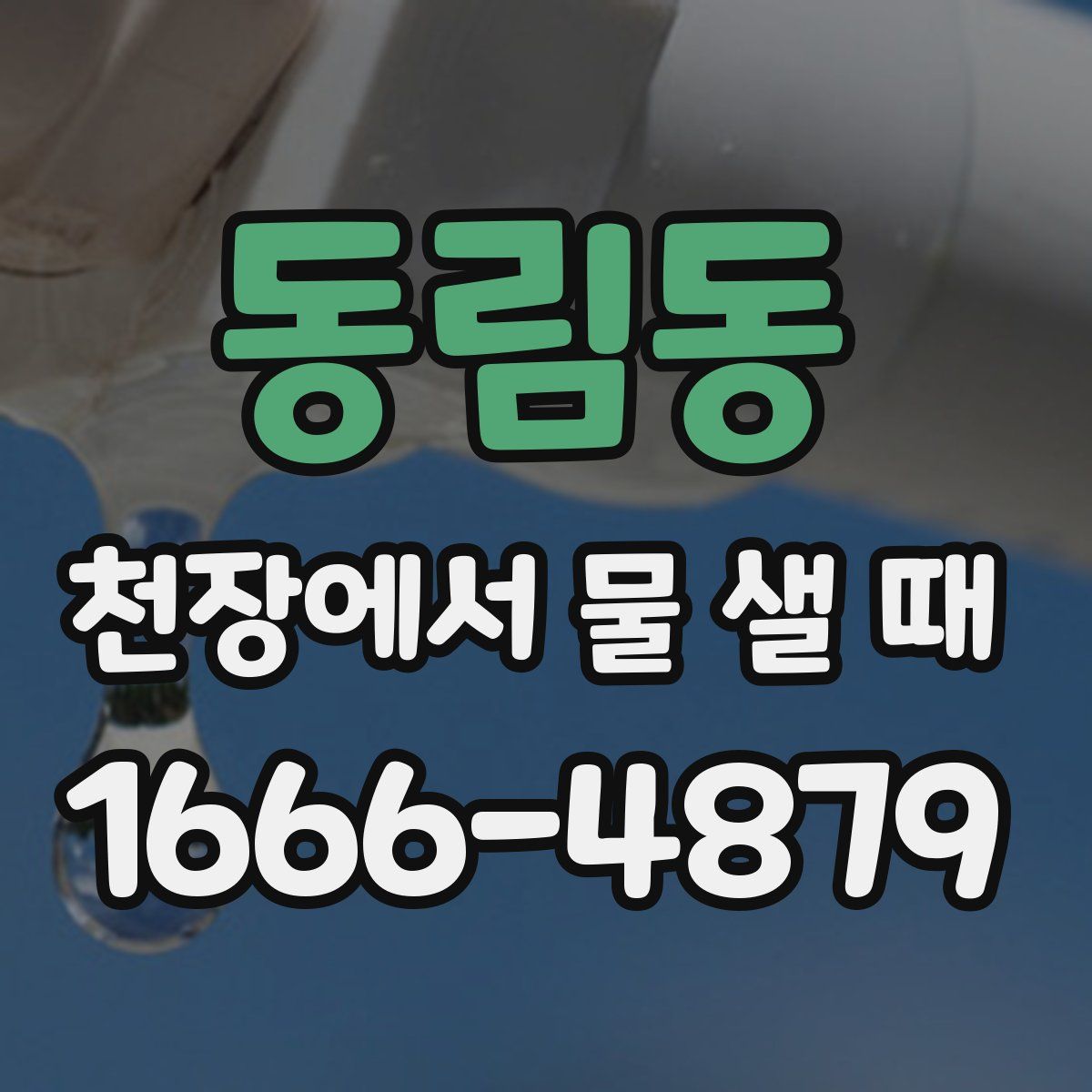 동림동 천장에서 물 샐 때
