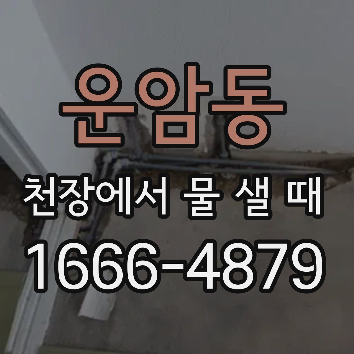 운암동 천장에서 물 샐 때