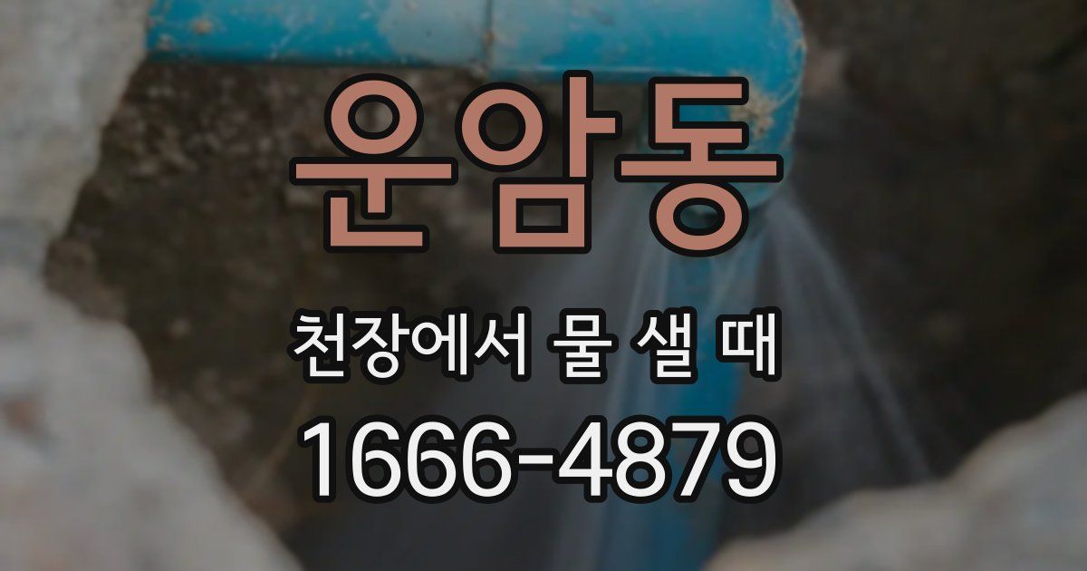 운암동 천장에서 물 샐 때
