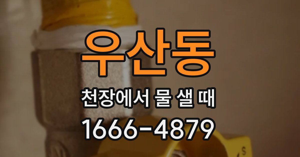 우산동 천장에서 물 샐 때