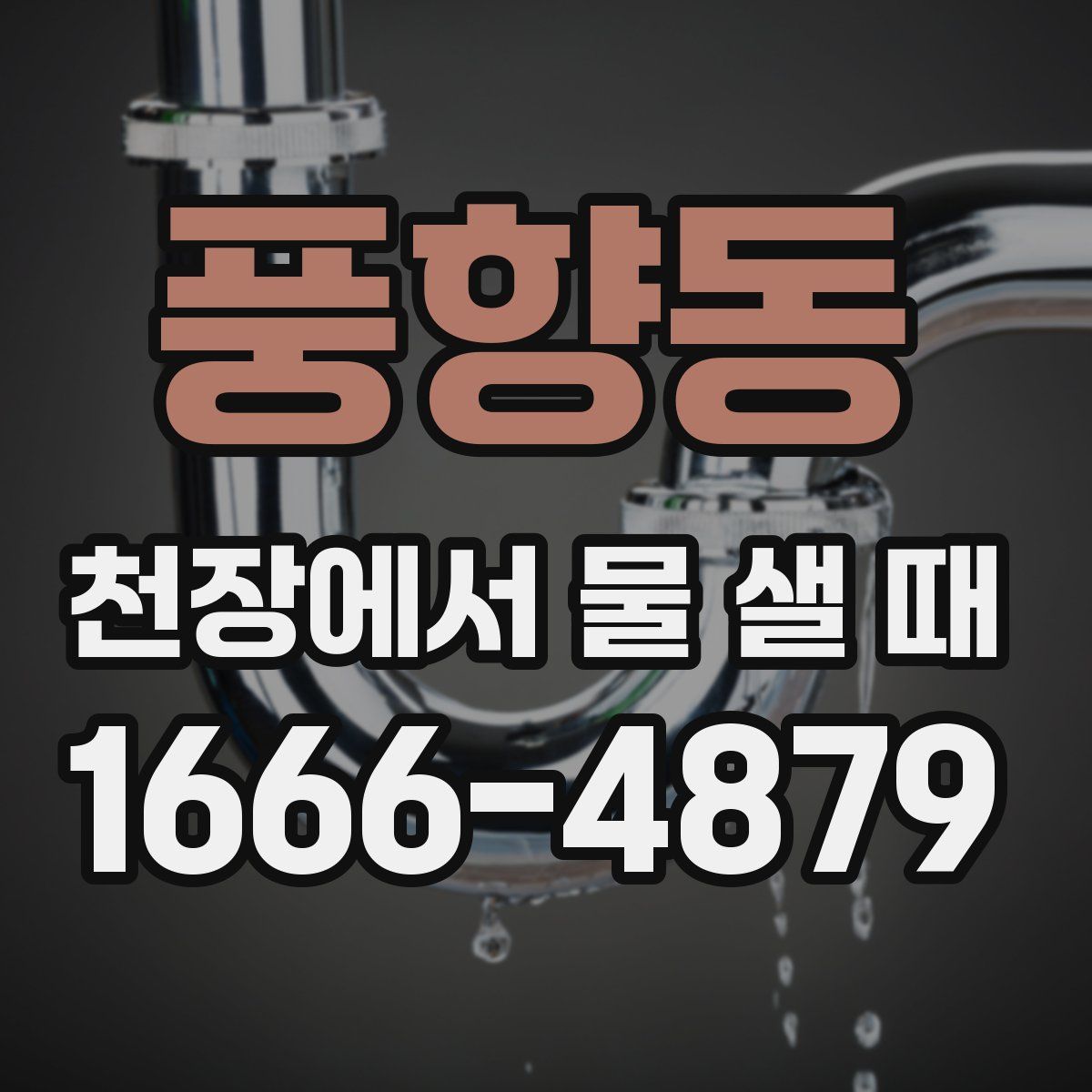 풍향동 천장에서 물 샐 때