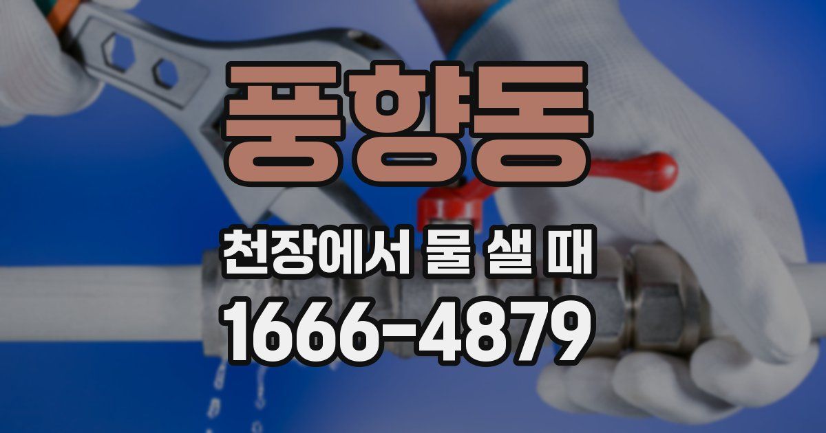 풍향동 천장에서 물 샐 때
