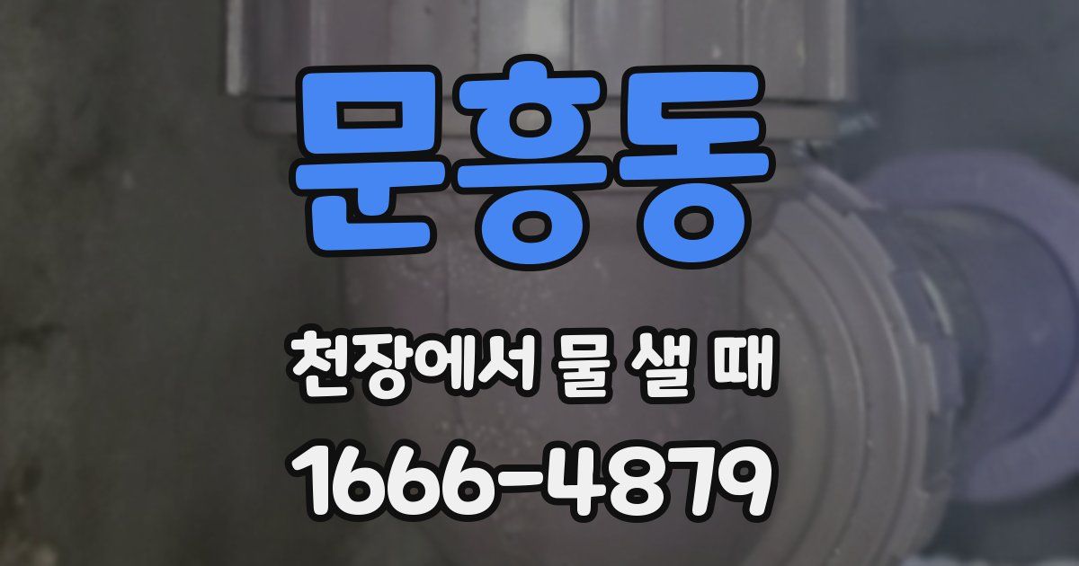문흥동 천장에서 물 샐 때