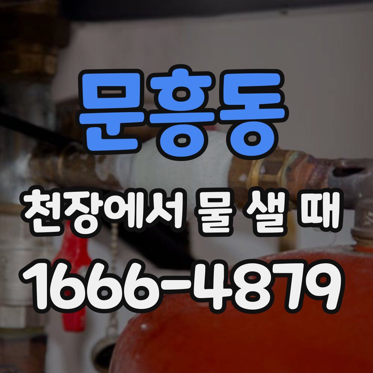 문흥동 천장에서 물 샐 때