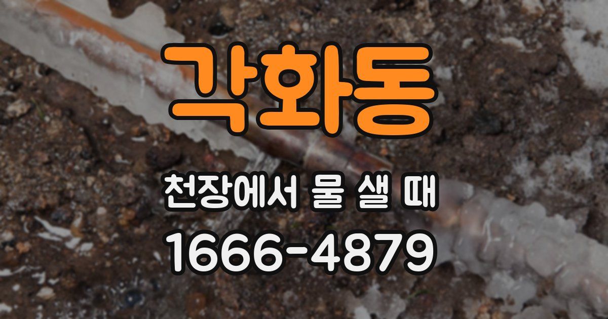 각화동 천장에서 물 샐 때
