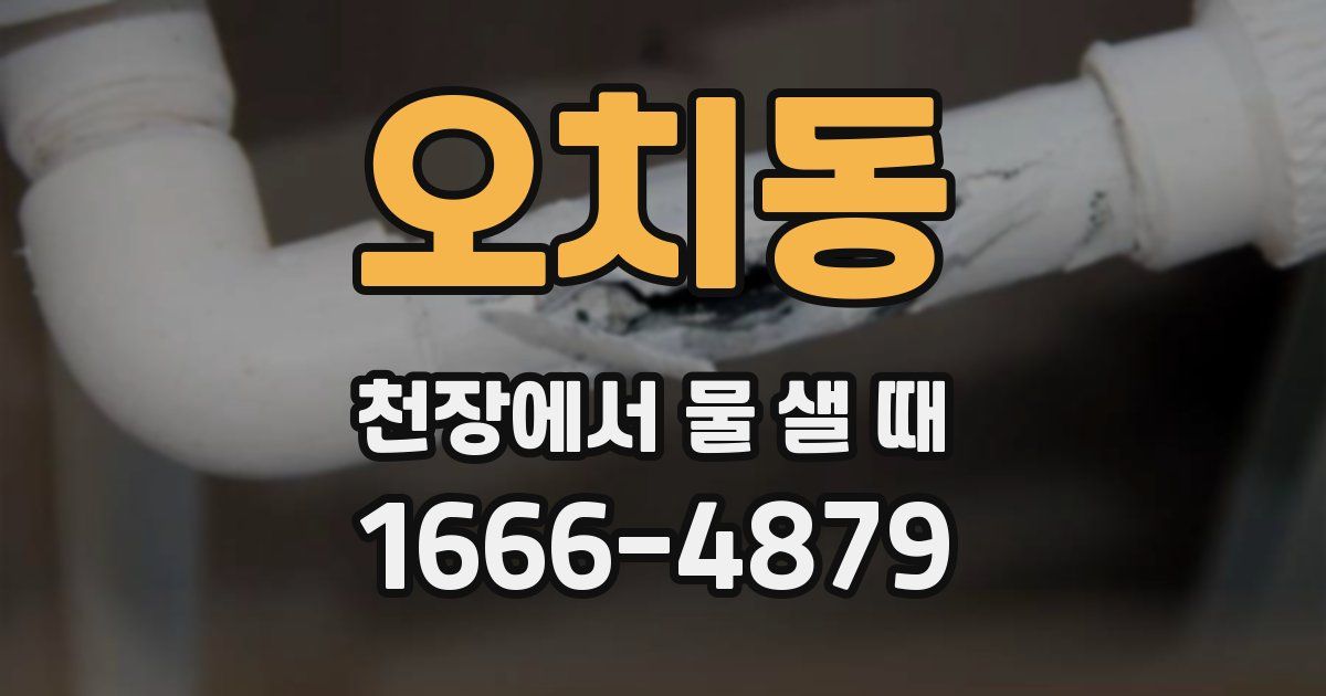오치동 천장에서 물 샐 때