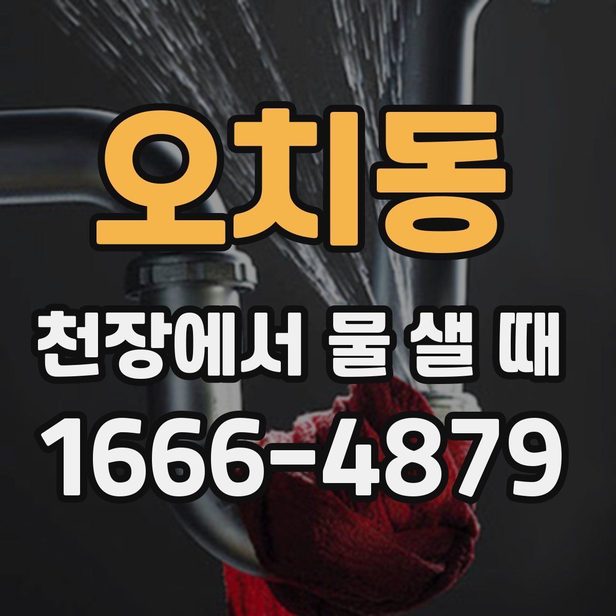 오치동 천장에서 물 샐 때