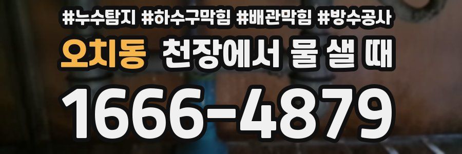 오치동 천장에서 물 샐 때