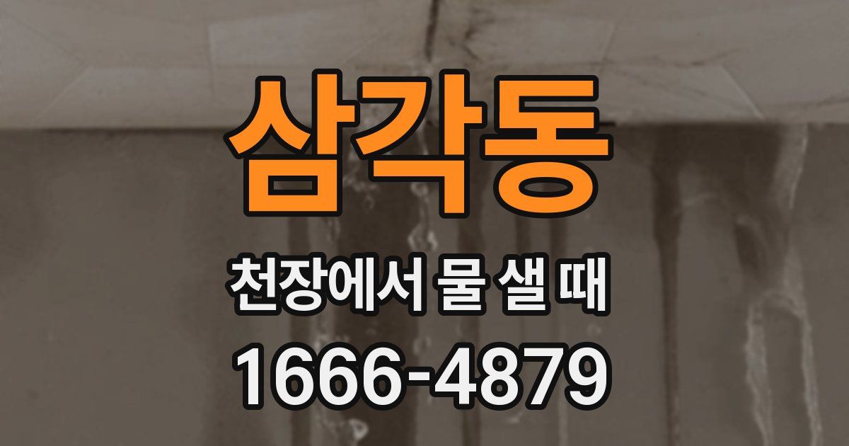 삼각동 천장에서 물 샐 때