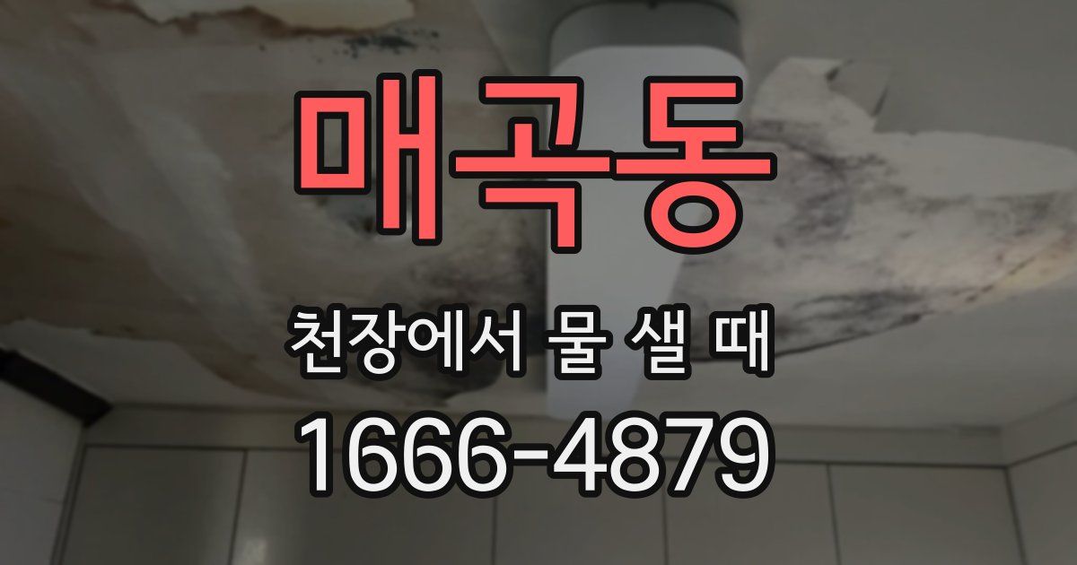 매곡동 천장에서 물 샐 때