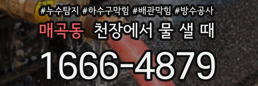 매곡동 천장에서 물 샐 때