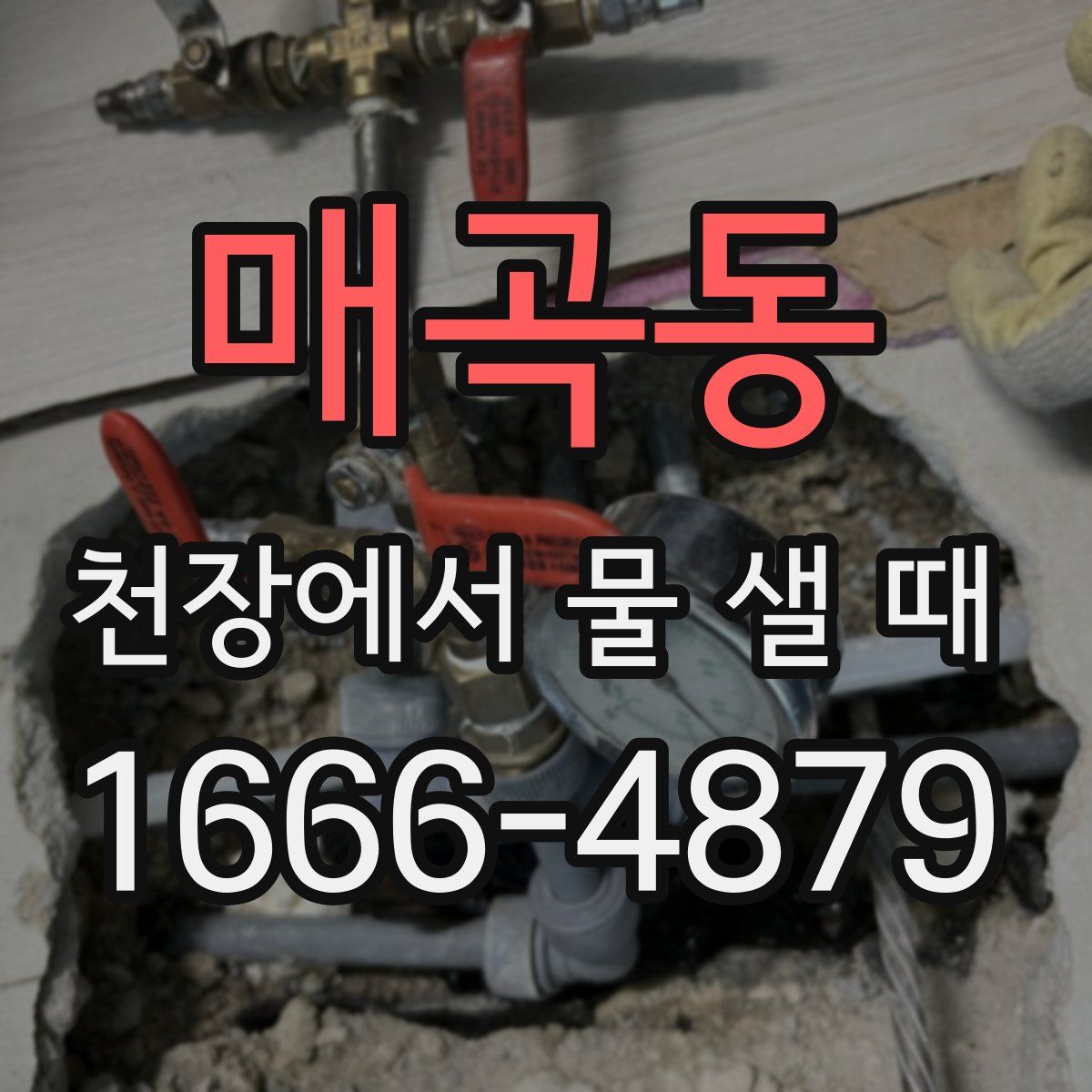 매곡동 천장에서 물 샐 때