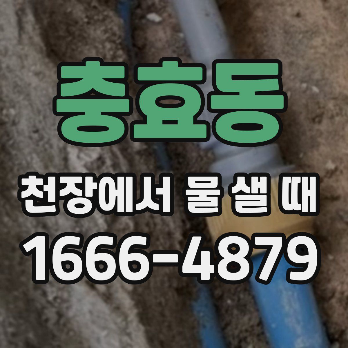 충효동 천장에서 물 샐 때